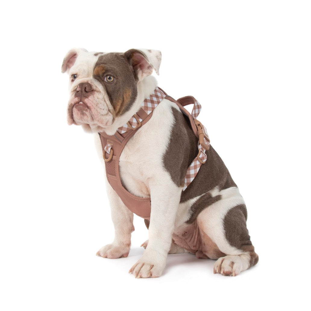 THE ALL-ROUNDER DOG HARNESS: Coffee