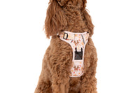 THE ALL-ROUNDER DOG HARNESS: Dashing Through The Stars