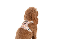 THE ALL-ROUNDER DOG HARNESS: Dashing Through The Stars