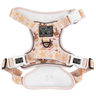 THE ALL-ROUNDER DOG HARNESS: Dashing Through The Stars