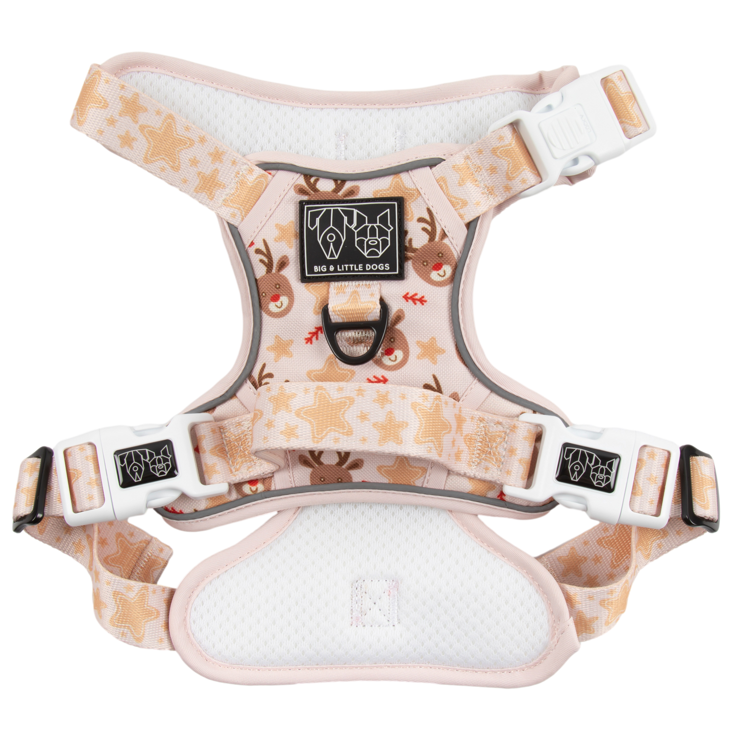 CHRISTMAS EXTRAVAGANZA BOX: "Dashing Through The Stars" All-Rounder Harness & Collar