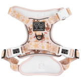 CHRISTMAS EXTRAVAGANZA BOX: "Dashing Through The Stars" All-Rounder Harness & Collar