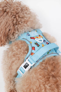 THE ALL-ROUNDER DOG HARNESS: Drinking Buddy