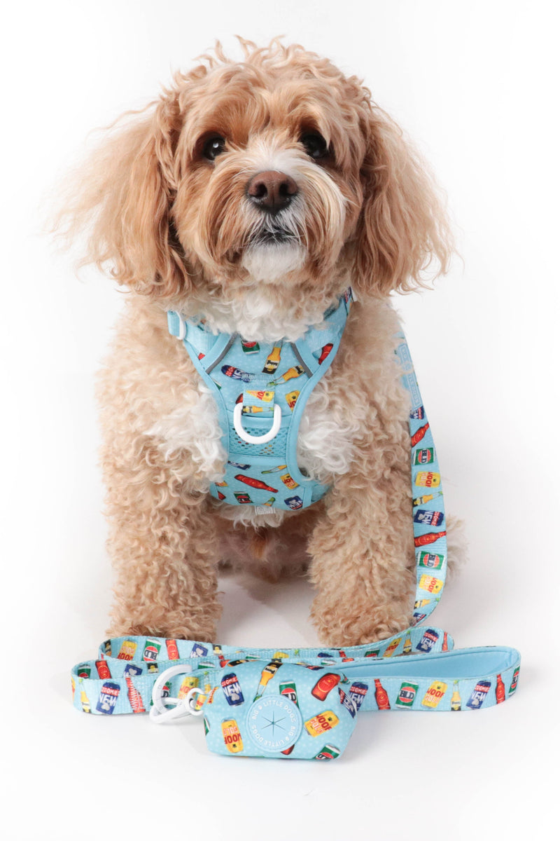 THE ALL-ROUNDER DOG HARNESS: Drinking Buddy (NEW!)