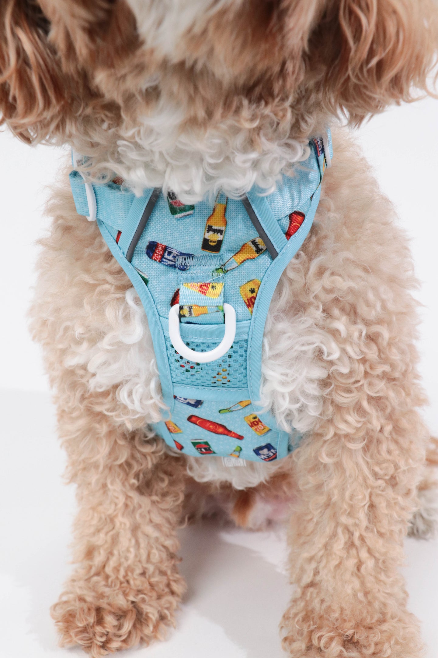 THE ALL-ROUNDER DOG HARNESS: Drinking Buddy