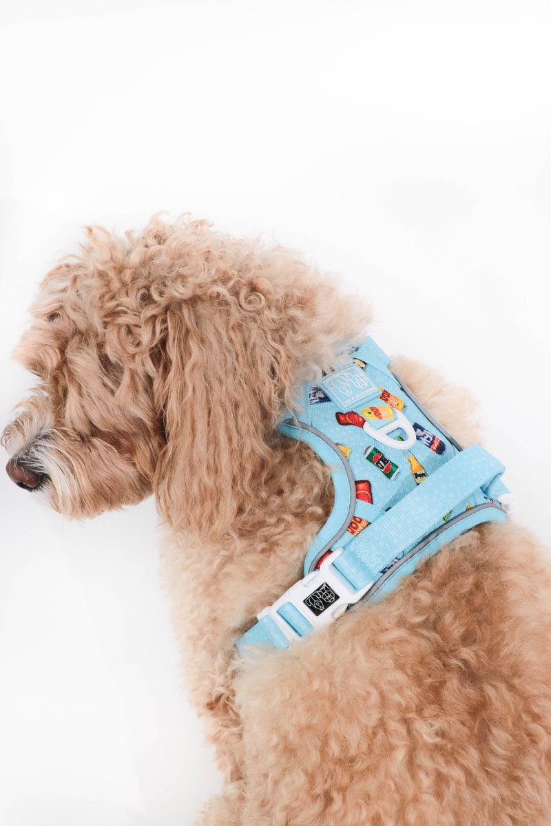 THE ALL-ROUNDER DOG HARNESS: Drinking Buddy