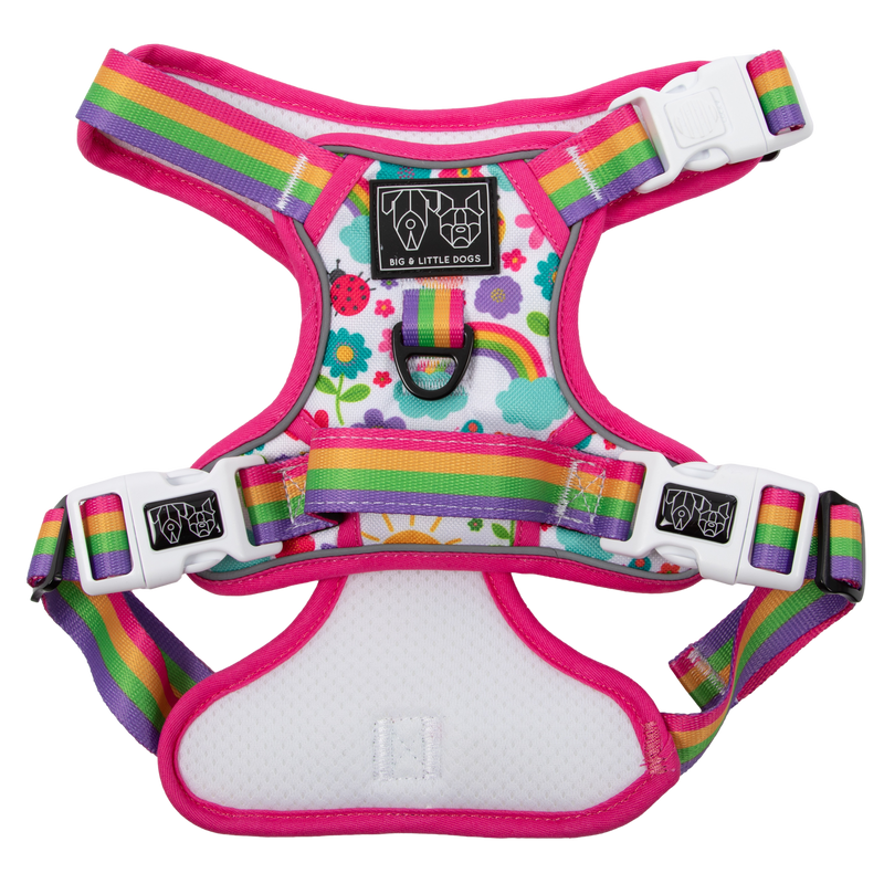 THE ALL-ROUNDER DOG HARNESS: Follow The Rainbow