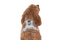 THE ALL-ROUNDER DOG HARNESS: Gelato