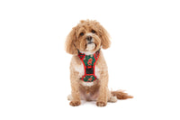 THE ALL-ROUNDER DOG HARNESS: Gingerbread Cutie