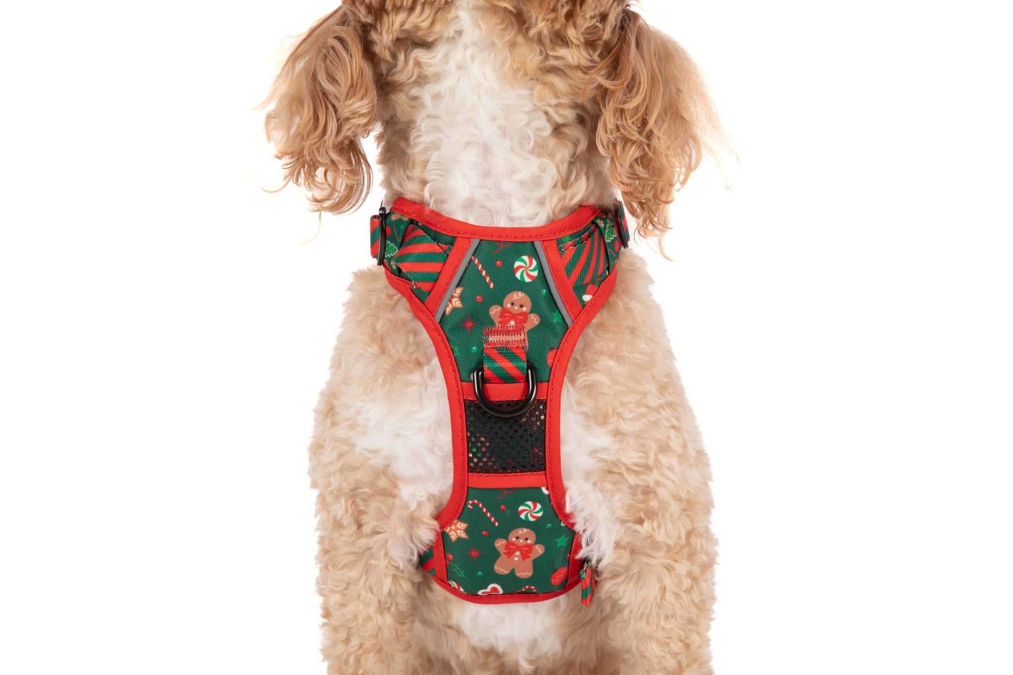 THE ALL-ROUNDER DOG HARNESS: Gingerbread Cutie