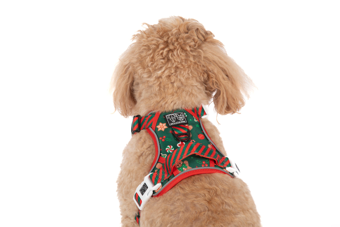 THE ALL-ROUNDER DOG HARNESS: Gingerbread Cutie