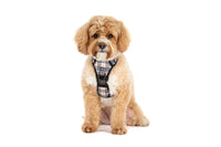 THE ALL-ROUNDER DOG HARNESS: Nova Plaid