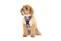 THE ALL-ROUNDER DOG HARNESS: Nova Plaid