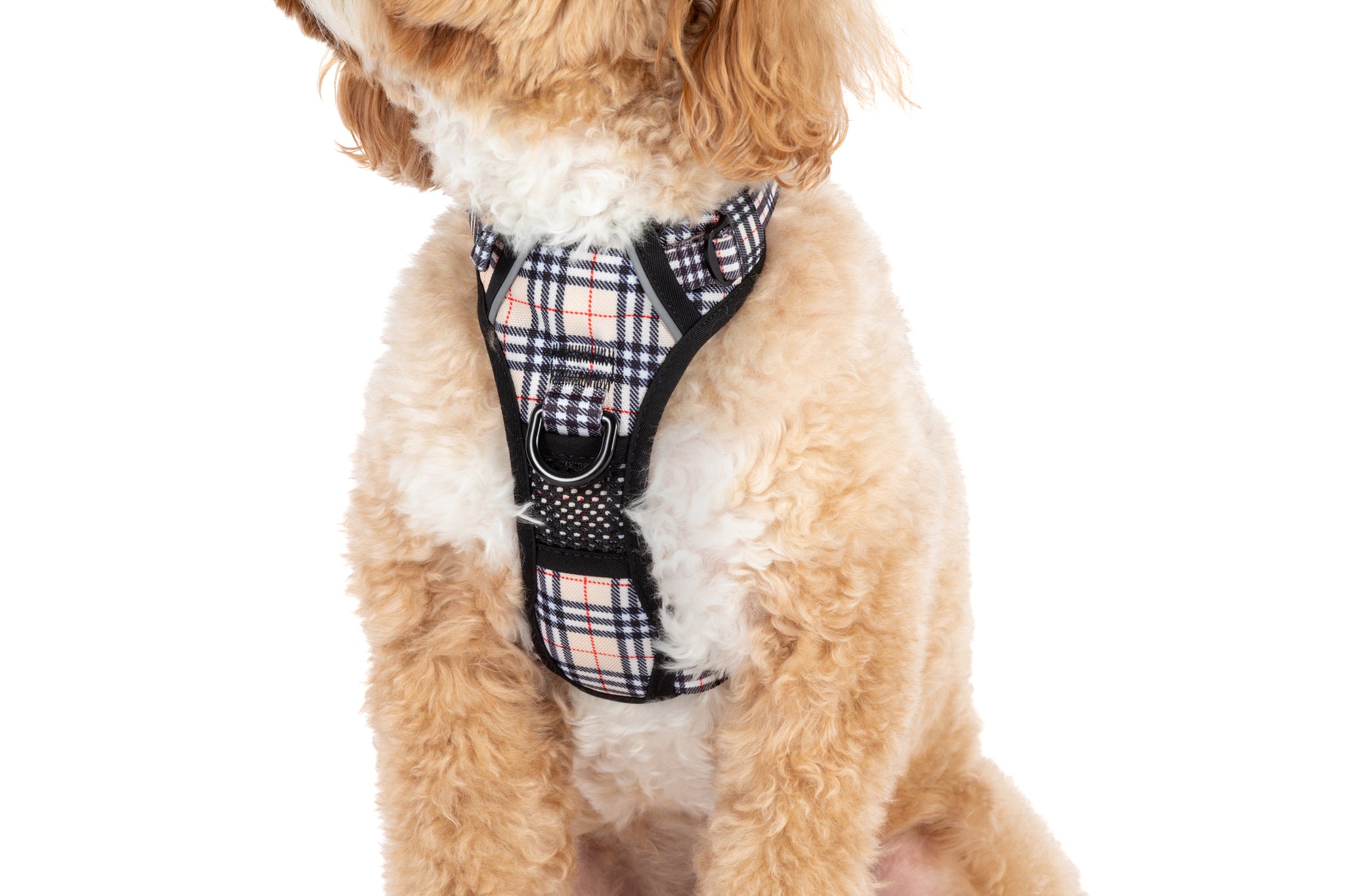 THE ALL-ROUNDER DOG HARNESS: Nova Plaid