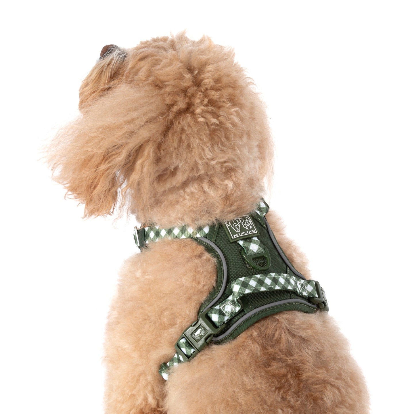 THE ALL-ROUNDER DOG HARNESS: Olive