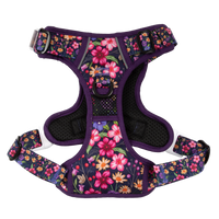 THE ALL-ROUNDER DOG HARNESS: Petal Paradise