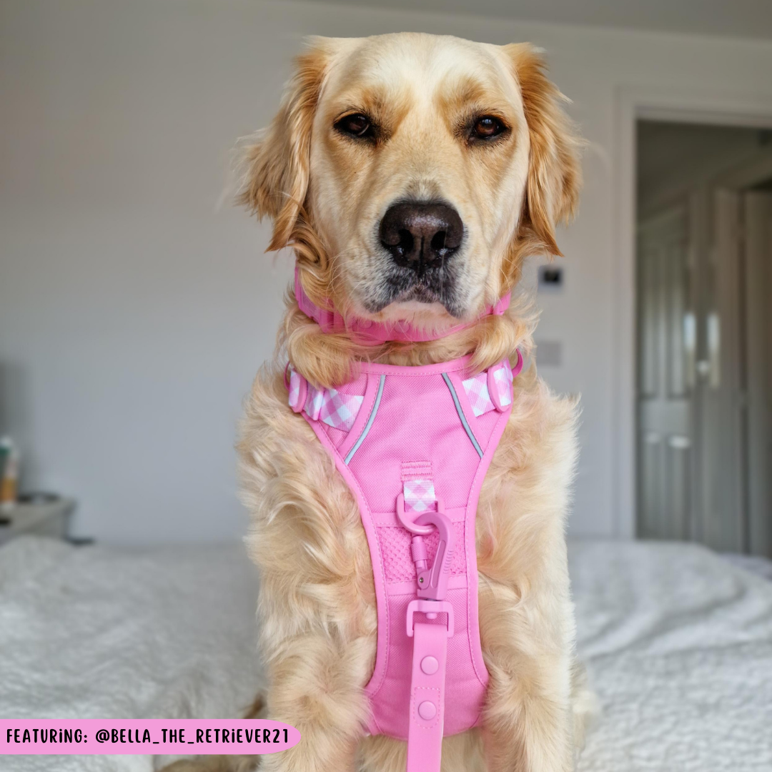 Pink dog harness best sale