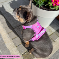 THE ALL-ROUNDER DOG HARNESS: Pink