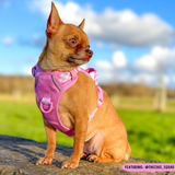 THE ALL-ROUNDER DOG HARNESS: Pink