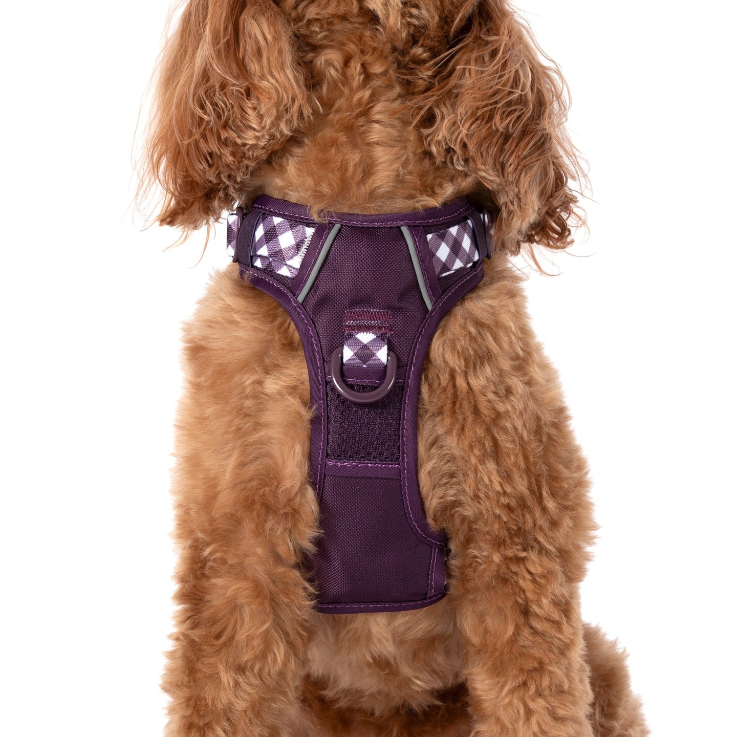 THE ALL-ROUNDER DOG HARNESS: Plum