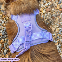 THE ALL-ROUNDER DOG HARNESS: Purple