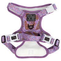 BIRTHDAY EXTRAVAGANZA BOX: "Purple Fairy Bread" Harness & Collar