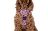 THE ALL-ROUNDER DOG HARNESS: Purple Fairy Bread