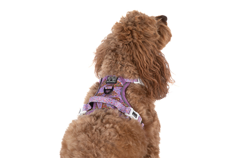 THE ALL-ROUNDER DOG HARNESS: Purple Fairy Bread