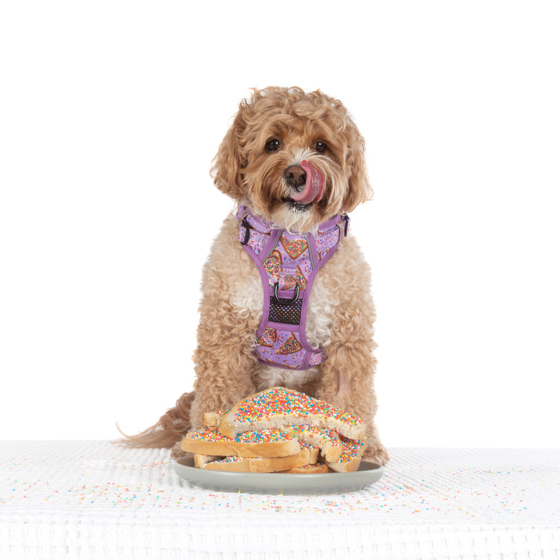 THE ALL-ROUNDER DOG HARNESS: Purple Fairy Bread