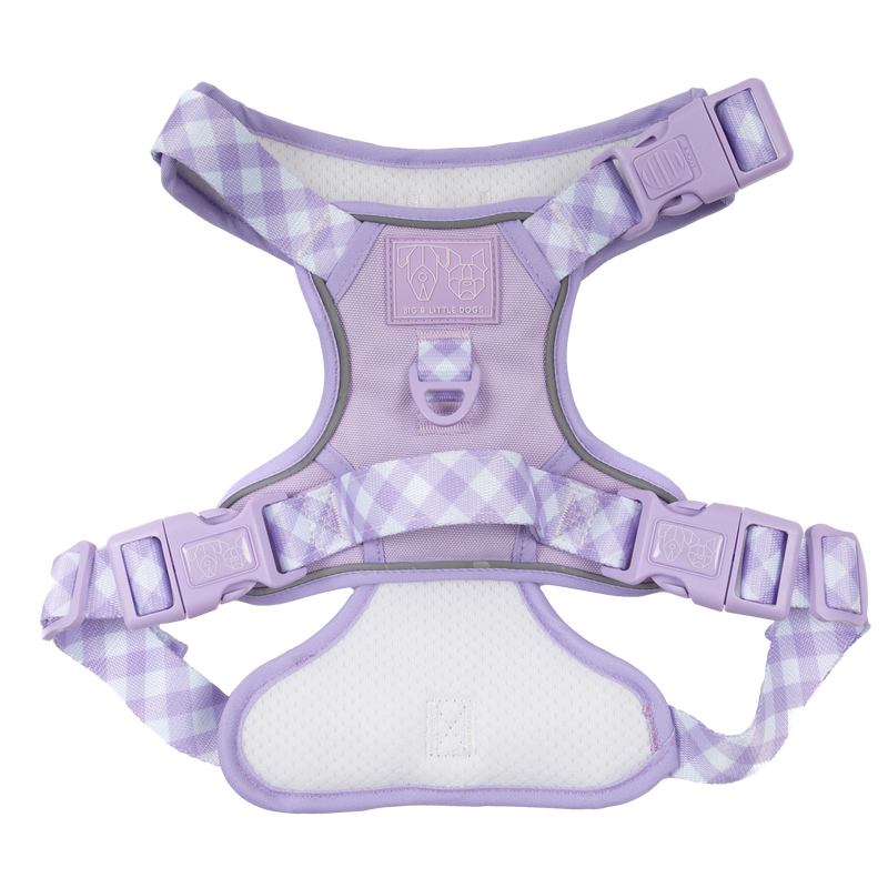 THE ALL-ROUNDER DOG HARNESS: Purple
