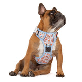 THE ALL-ROUNDER DOG HARNESS: Rodeo King