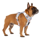 THE ALL-ROUNDER DOG HARNESS: Rodeo King