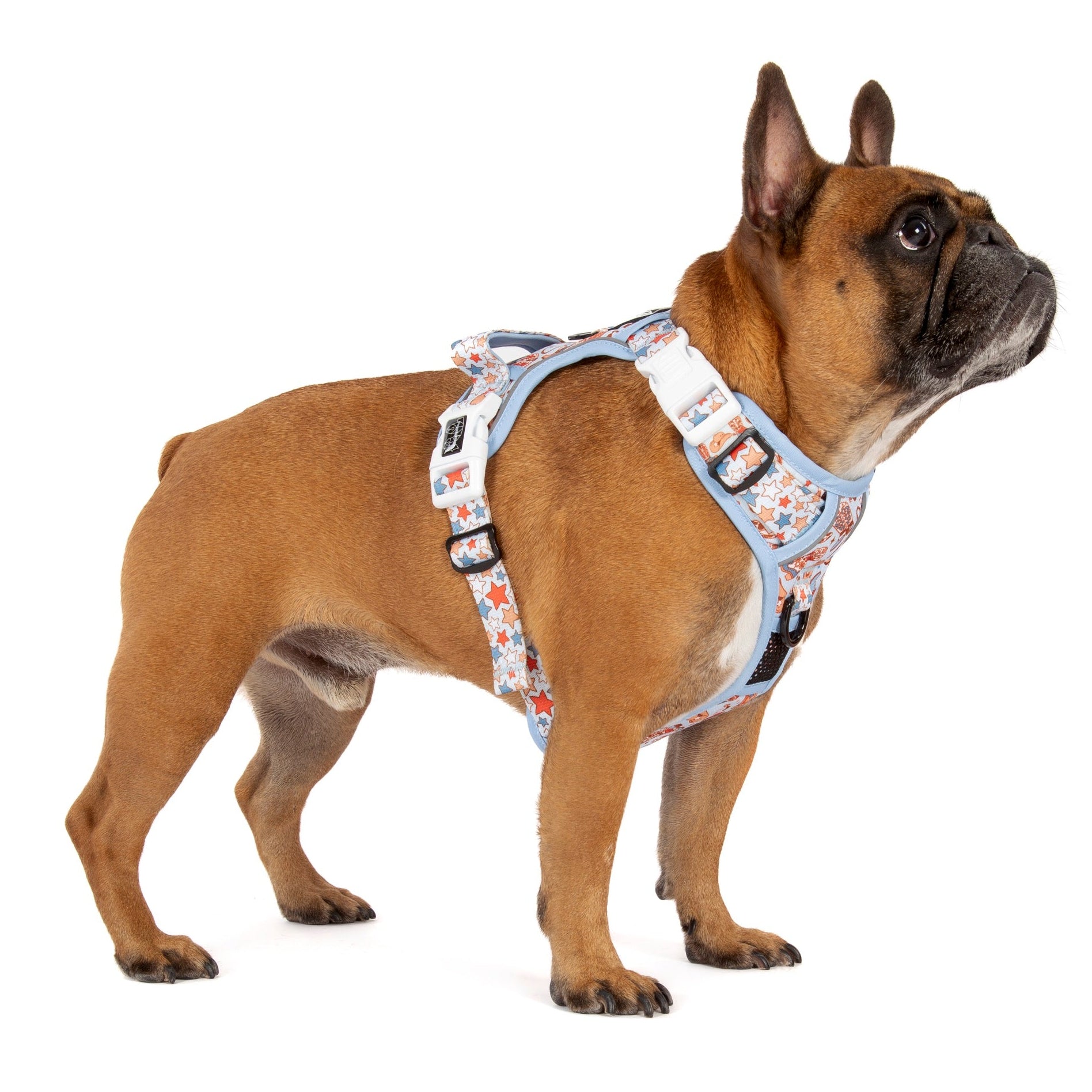 THE ALL-ROUNDER DOG HARNESS: Rodeo King