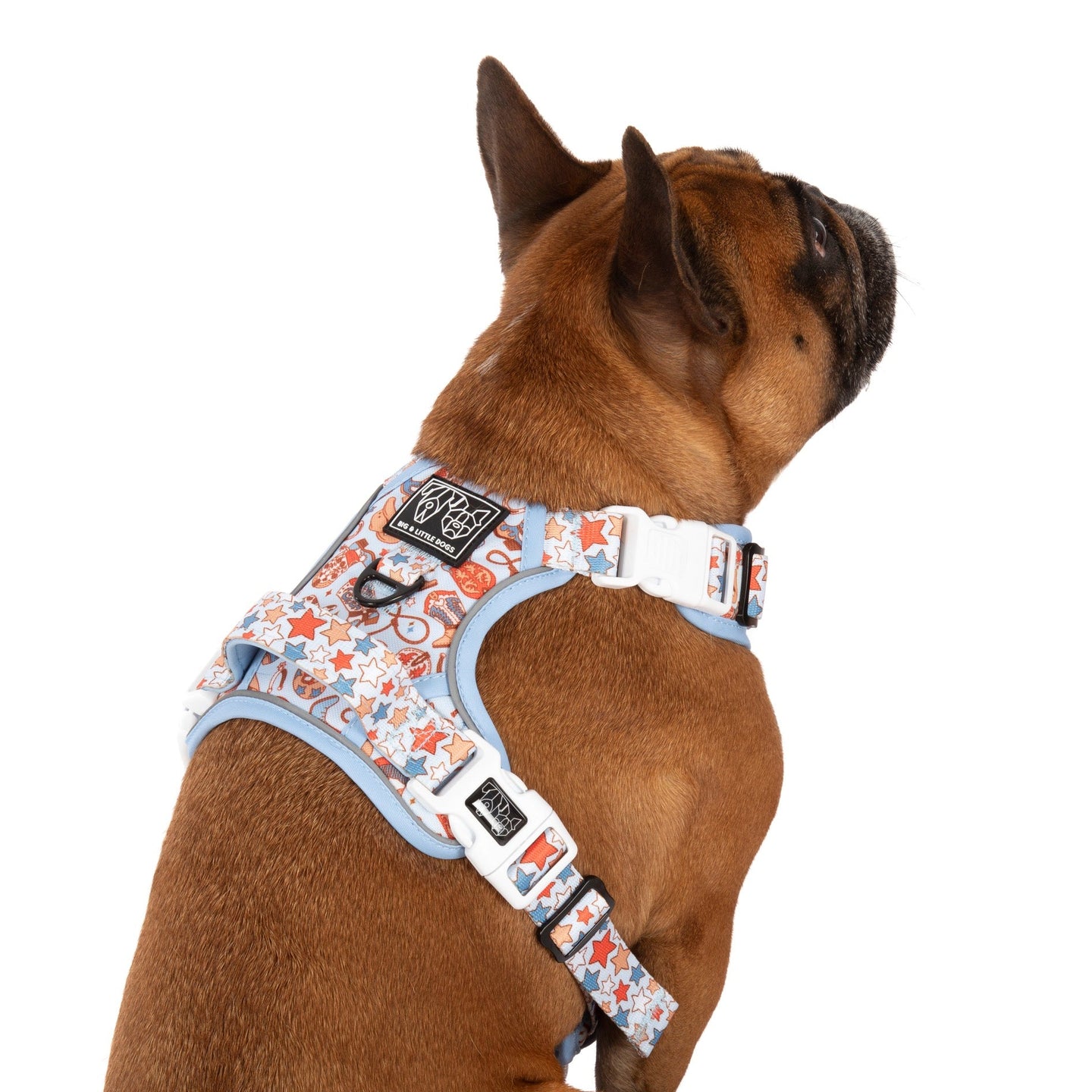 THE ALL-ROUNDER DOG HARNESS: Rodeo King