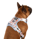 THE ALL-ROUNDER DOG HARNESS: Rodeo King