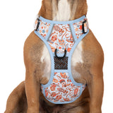 THE ALL-ROUNDER DOG HARNESS: Rodeo King