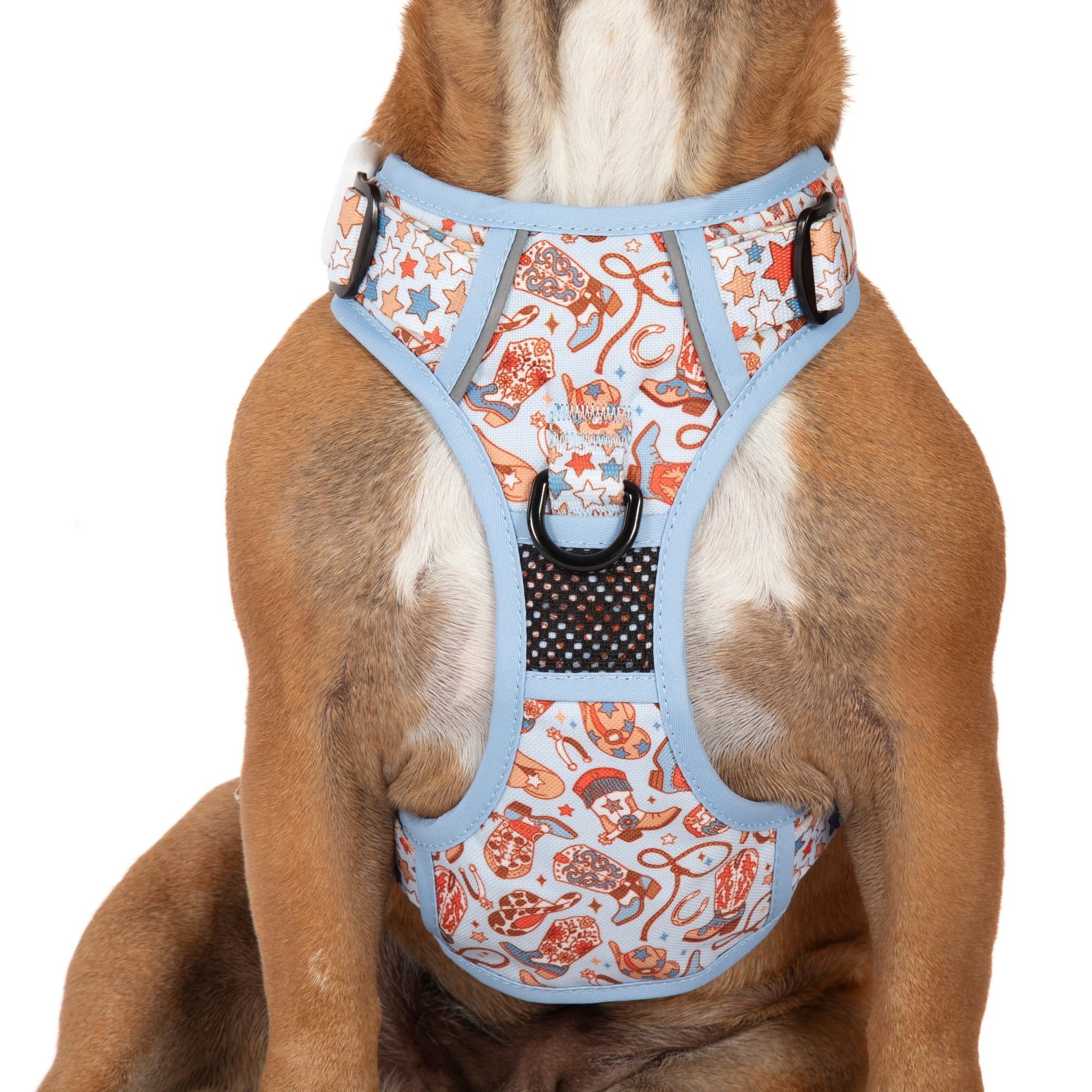 THE ALL-ROUNDER DOG HARNESS: Rodeo King