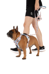 THE ALL-ROUNDER DOG HARNESS: Rodeo King
