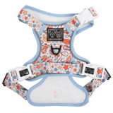 THE ALL-ROUNDER DOG HARNESS: Rodeo King