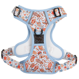 THE ALL-ROUNDER DOG HARNESS: Rodeo King