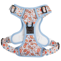 THE ALL-ROUNDER DOG HARNESS: Rodeo King