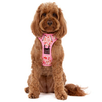 THE ALL-ROUNDER DOG HARNESS: Rodeo Queen