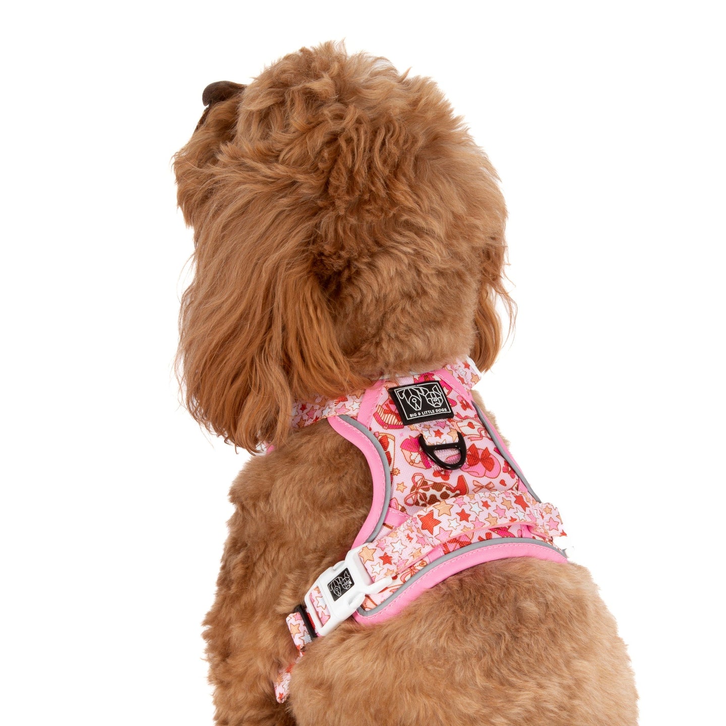 THE ALL-ROUNDER DOG HARNESS: Rodeo Queen