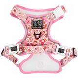 THE ALL-ROUNDER DOG HARNESS: Rodeo Queen