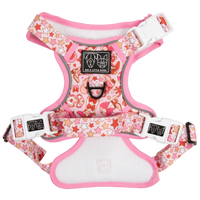 THE ALL-ROUNDER DOG HARNESS: Rodeo Queen
