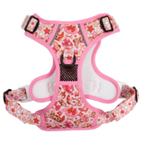 THE ALL-ROUNDER DOG HARNESS: Rodeo Queen