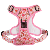 THE ALL-ROUNDER DOG HARNESS: Rodeo Queen