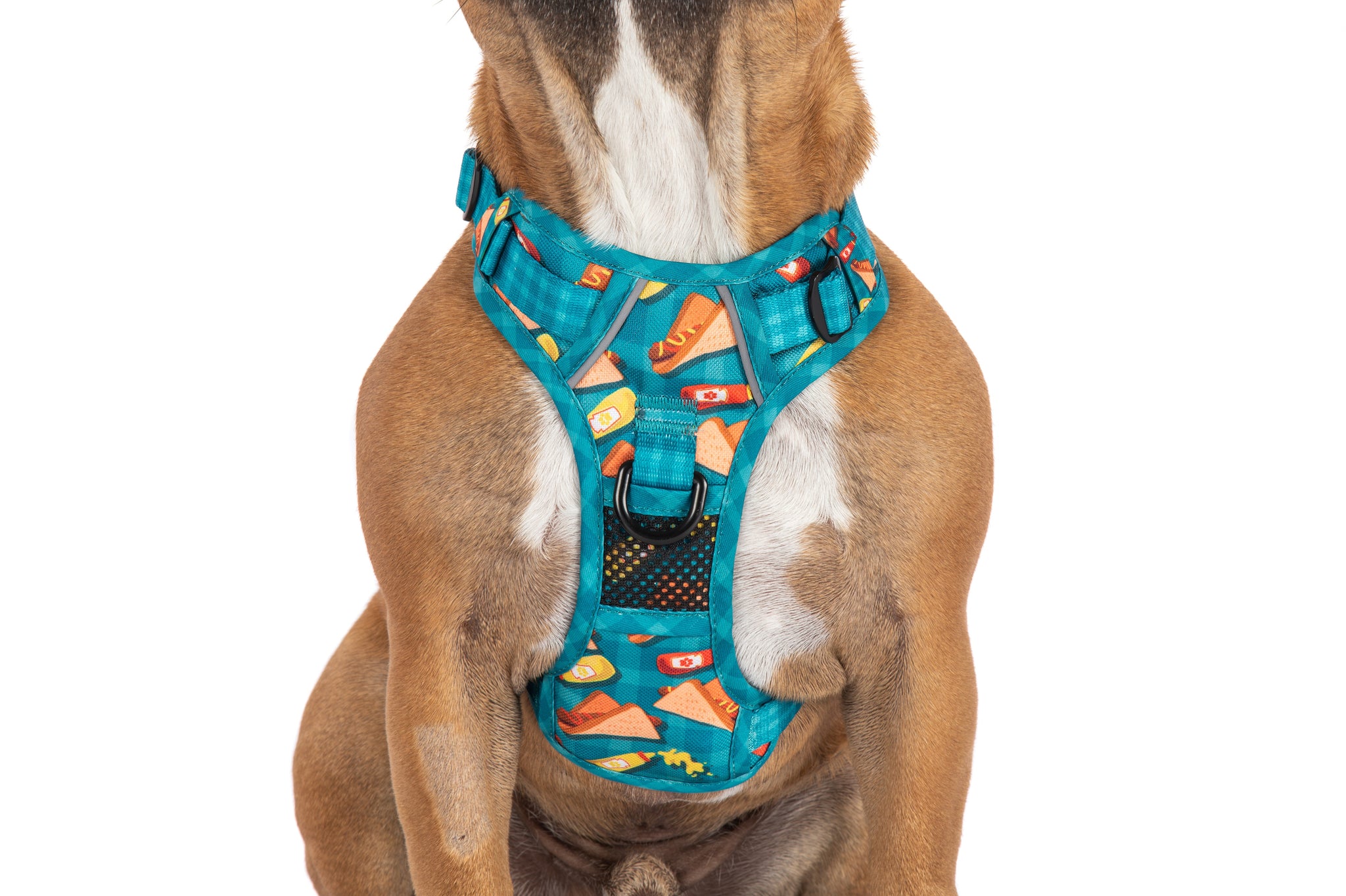 THE ALL-ROUNDER DOG HARNESS: Sausage Sizzle