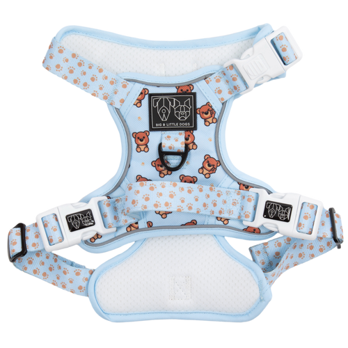 Adjustable blue dog harness with brown teddy bear design and white paw print accents, featuring metal buckles and a branded patch.