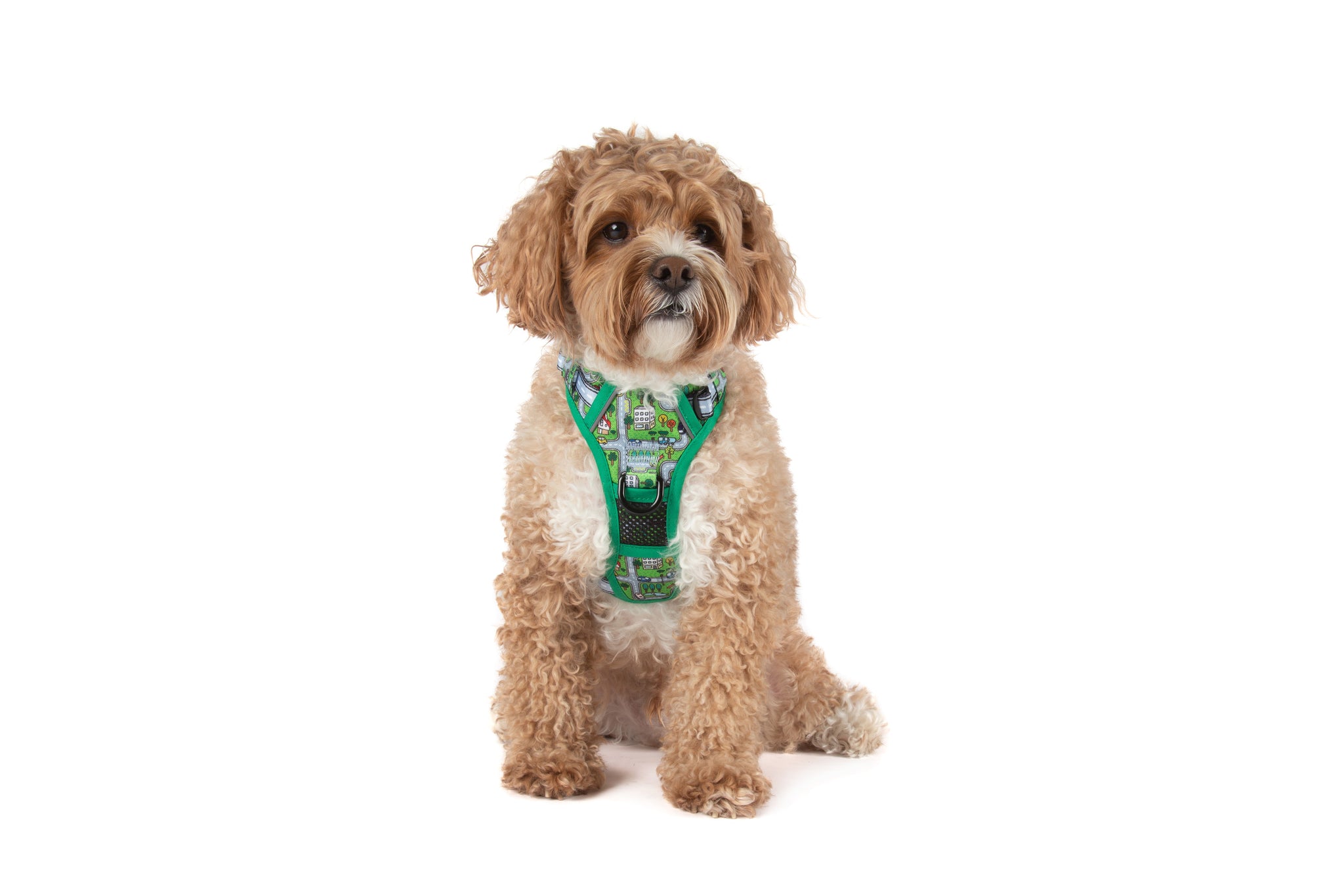 THE ALL-ROUNDER DOG HARNESS: Traffic Town